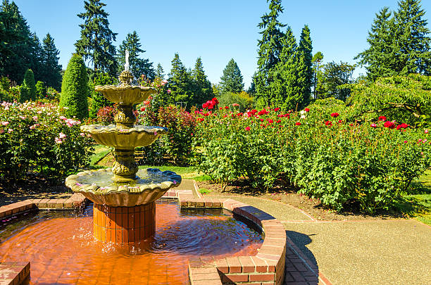 istock Fountain in a Rose Garden 518306725