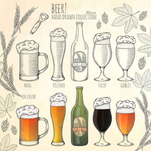 Set of beer objects. Set of beer objects. Hand drawn vector illustration. beer bottle illustrations stock illustrations