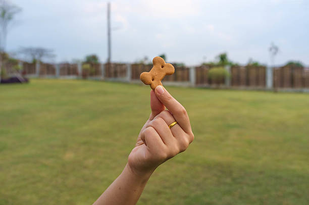 istock Holding Dog Treat 518308695