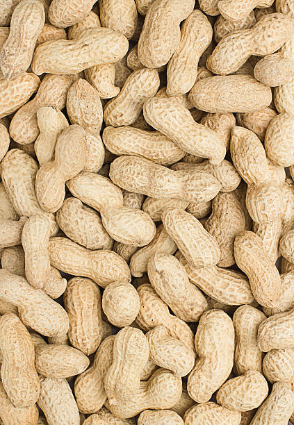 istock close-up of some peanuts. background 518308885