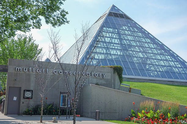 muttart conservatory em edmonton canadá - north saskatchewan river - fotografias e filmes do acervo