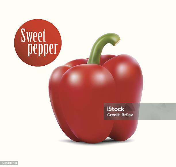 Photorealistic Vector Illustration Of Red Sweet Pepper Stock Illustration - Download Image Now