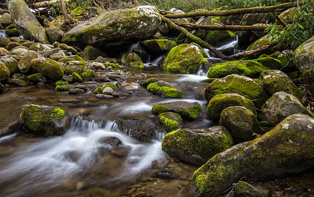 река на форк в дымные горы - waterfall stream river tennessee стоковые фото и изображения