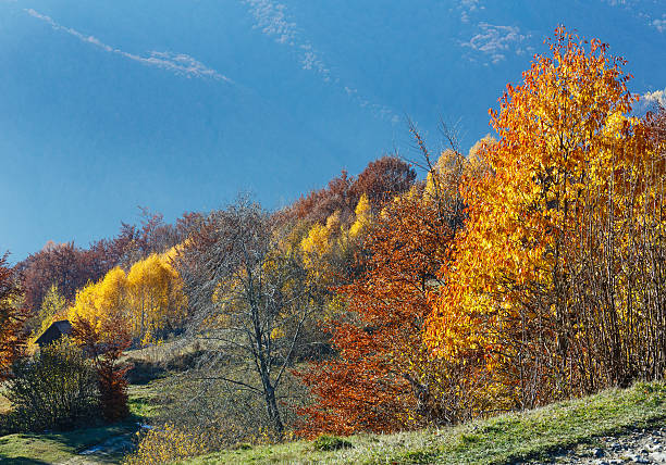 istock Golden autumn in mountain. 518311278