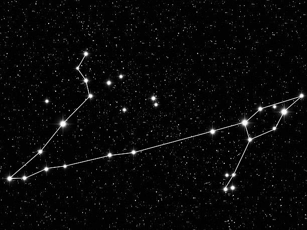 Pisces Zodiac Pisces Zodiac sign bright stars in cosmosPisces Zodiac sign bright stars in cosmos earth air fire water signs stock illustrations