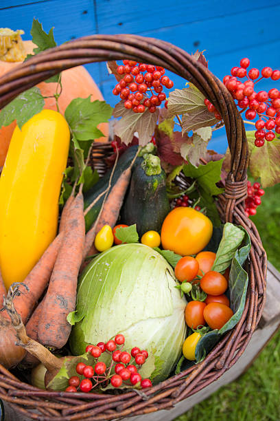 frisch von der ernte gemüse - suppengrün imagens e fotografias de stock