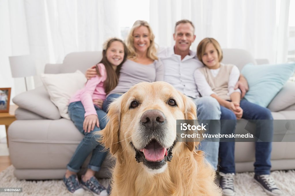 Famille assis sur le canapé avec golden retriever de premier plan - Photo de Famille libre de droits