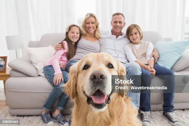 Photo libre de droit de Famille Assis Sur Le Canapé Avec Golden Retriever De Premier Plan banque d'images et plus d'images libres de droit de Famille