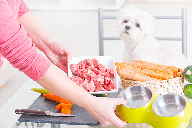 preparación de alimentos naturales para mascotas - dog vegetable carrot eating fotografías e imágenes de stock