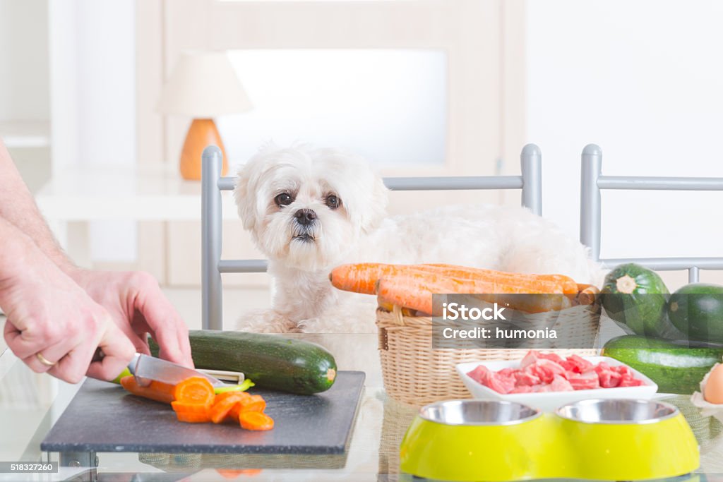 Preparing natural food for pets Preparing natural natural, organic food for pets at home Dog Stock Photo