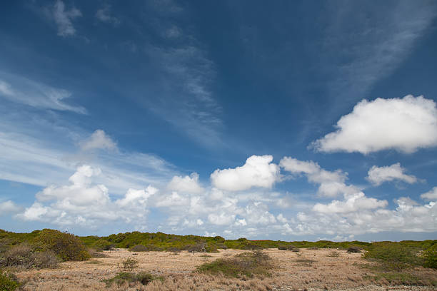 istock Bonaire caribbean island landscapes 518335038