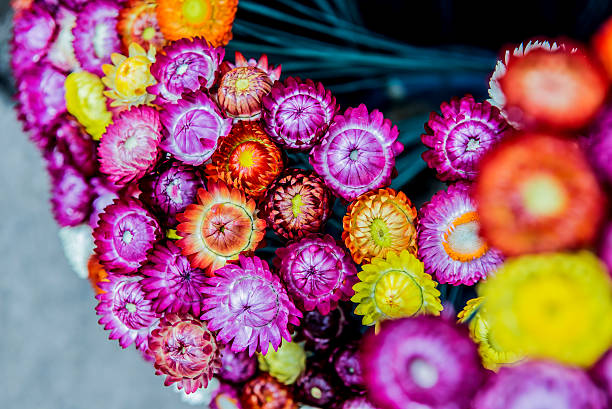 istock blooming flowers in the garden 518336884
