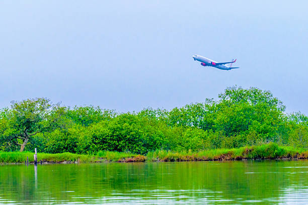 istock Flight - Just taking off over the FishPond 518337994