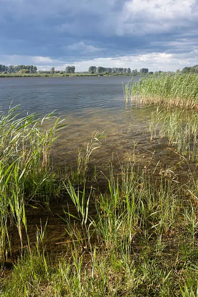 Photo of Pond in Brandenburg, Linum