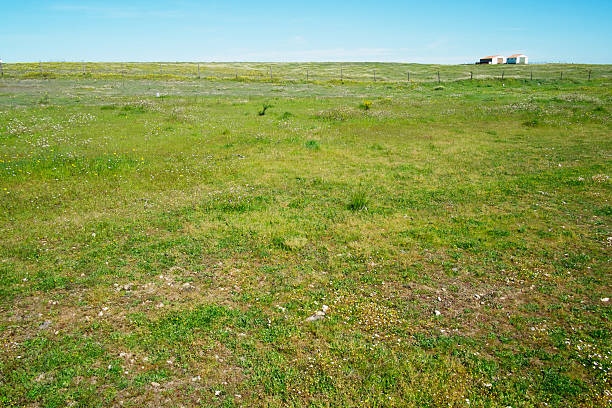 istock Landscape in Alentejo 518338944