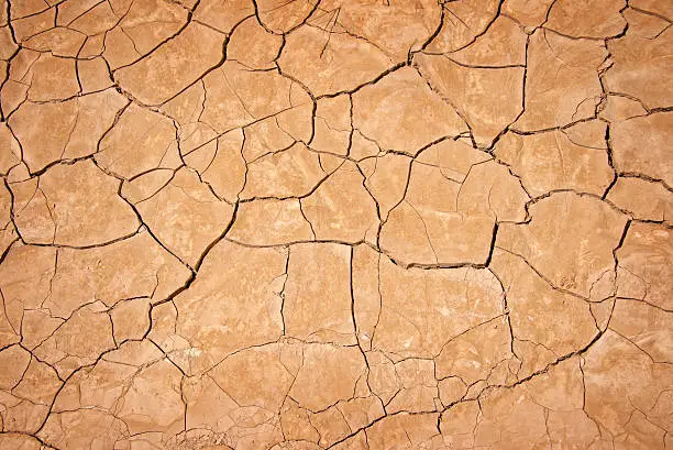 Photo of Dry cracked earth background, clay desert texture