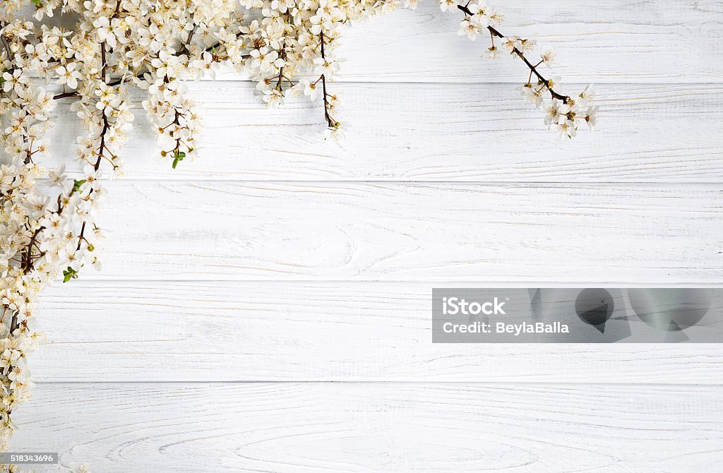 Wood texture fruit tree flowers on the white wooden background. March - Month Stock Photo