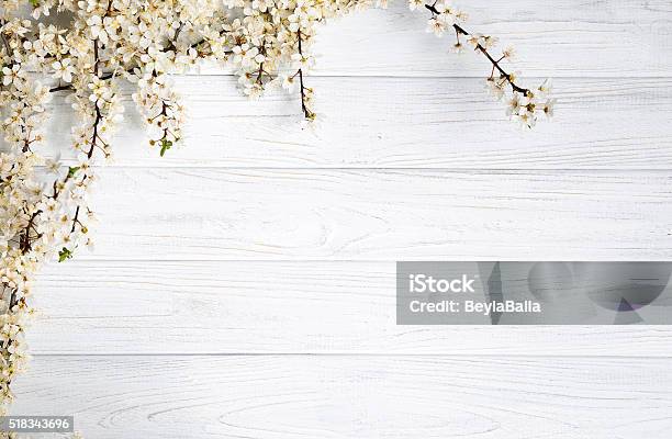 Wood Texture Stock Photo - Download Image Now - March - Month, Wood - Material, Blossom