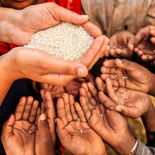 fome crianças africanas a pedir comida, áfrica - africa child ethiopian culture people imagens e fotografias de stock