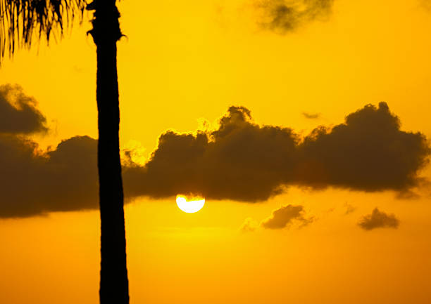 sole tramonta. - sunset vacations orange glowing foto e immagini stock