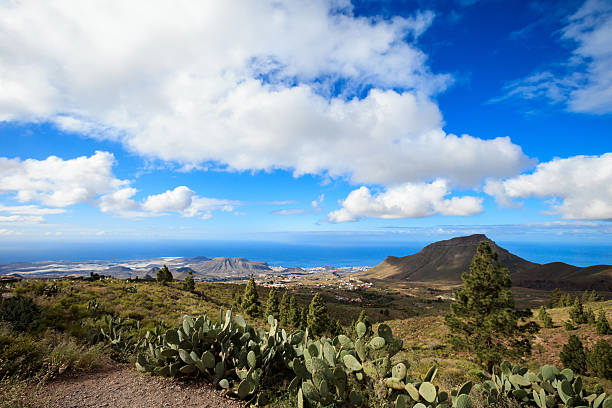 istock Beautiful Tenerife landscape - El Teide 518347696