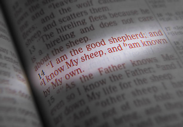 istock Bible text - I am the good shepherd 518349698