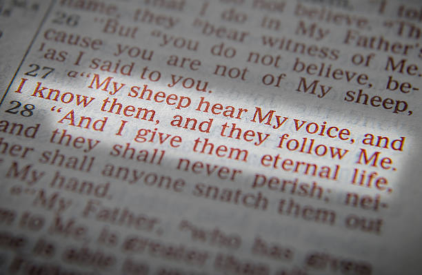 istock Bible text - I am the good shepherd 518349884
