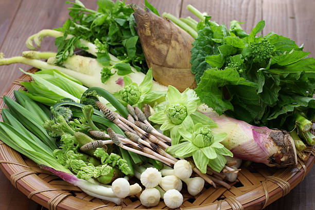 istock sansai, japanese edible wild plants vegetables 518351148