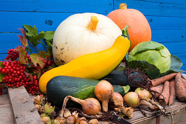 frisch von der ernte gemüse - suppengrün imagens e fotografias de stock