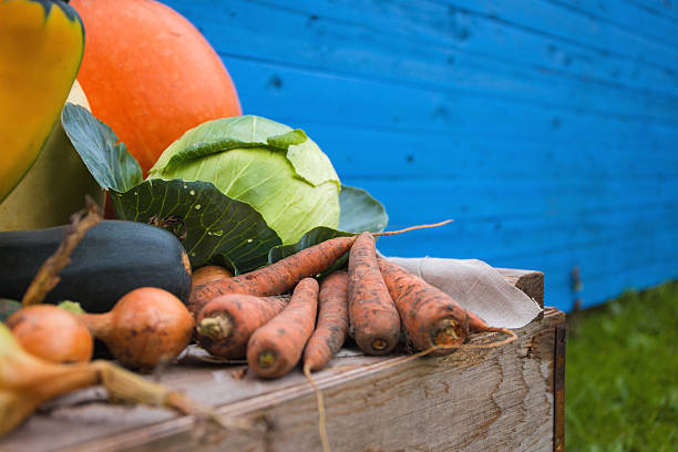 frisch von der ernte gemüse - suppengrün imagens e fotografias de stock