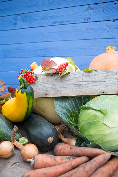 frisch von der ernte gemüse - suppengrün imagens e fotografias de stock