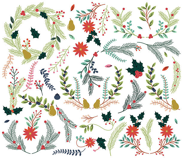 vector collection of vintage style hand drawn christmas holiday florals - 花環 裝飾 插圖 幅插畫檔、美工圖案、卡通及圖標