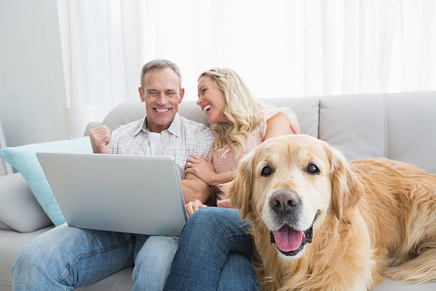 istock Couple using laptop and spending time with their dog 518352731