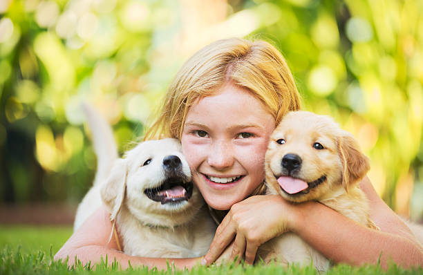 istock Cute Young Girl with Puppies 518353653