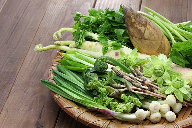 sansai, japonés comestibles plantas silvestres verduras - bamboo shoot fotos fotografías e imágenes de stock