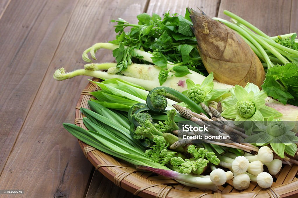 sansai, japanese edible wild plants vegetables sansai are often used as ingredients in shojin ryori(buddist vegetarian cuisine). Vegetable Stock Photo