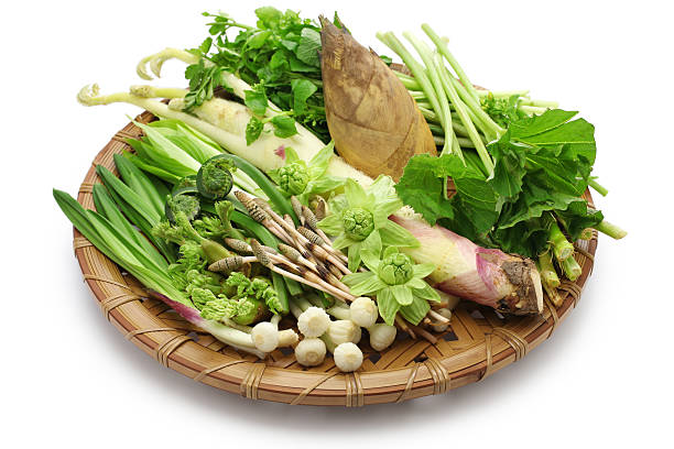 istock sansai, japanese edible wild plants vegetables 518354820