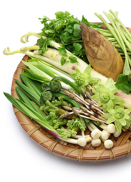 istock sansai, japanese edible wild plants vegetables 518355022