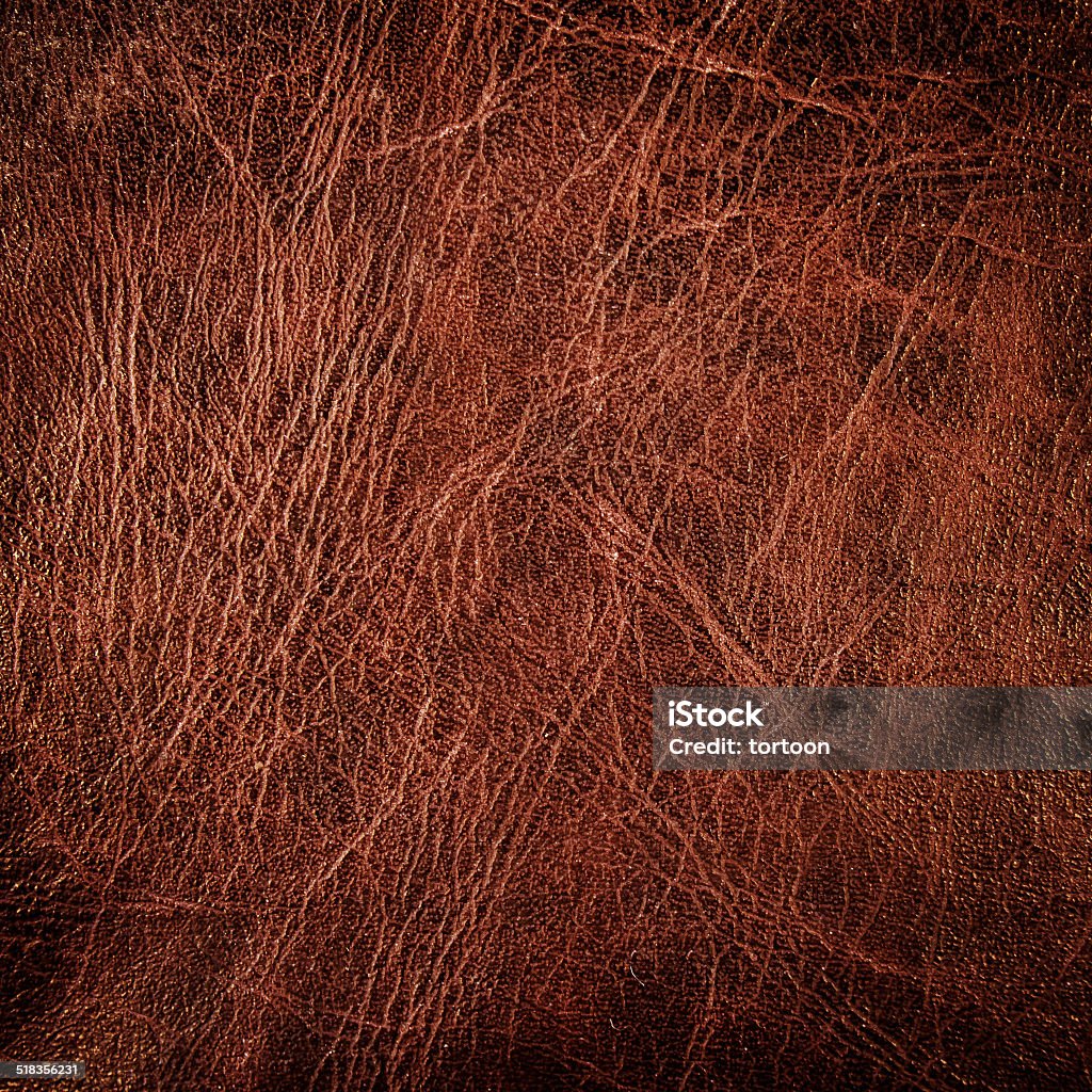 brown leather texture brown leather texture background with space Animal Stock Photo
