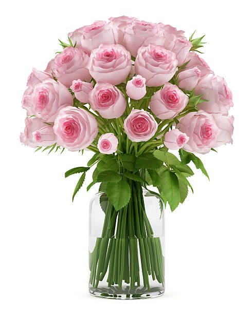 buquê de rosas cor de rosa em vaso de vidro isolado no branco - roses in a vase - fotografias e filmes do acervo