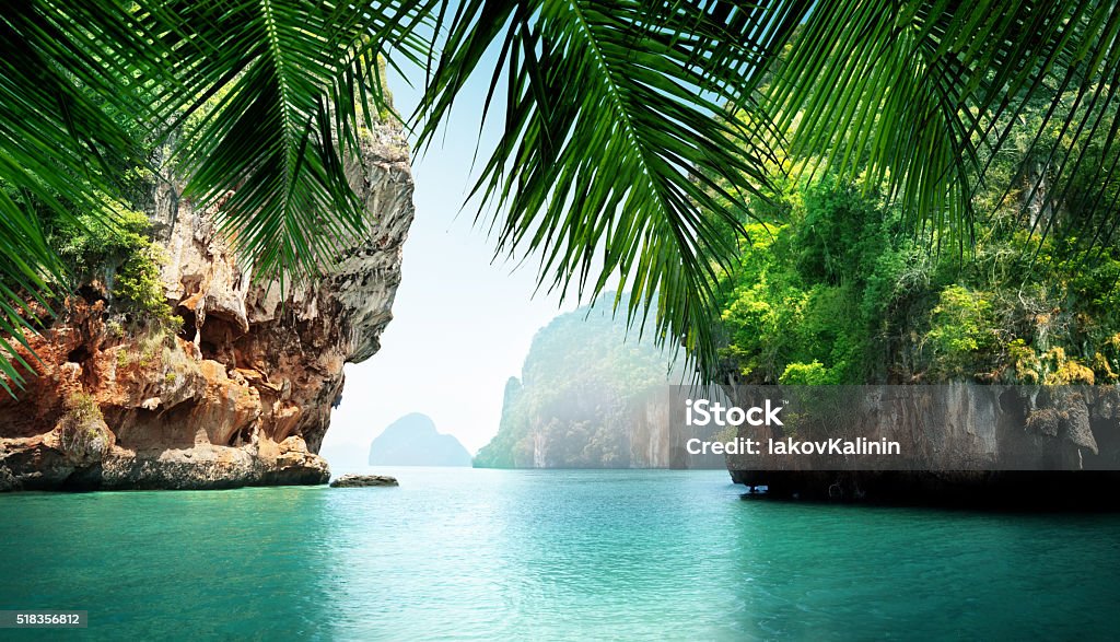 Mar tropical y rocas - Foto de stock de Playa libre de derechos