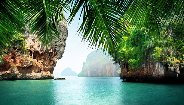 mar tropical y rocas - isla fotografías e imágenes de stock