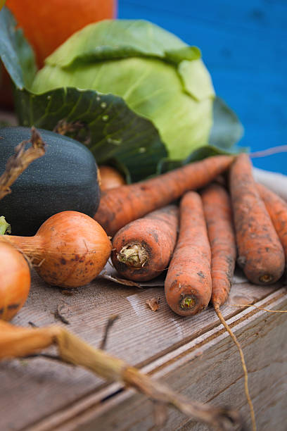 frisch von der ernte gemüse - suppengrün imagens e fotografias de stock