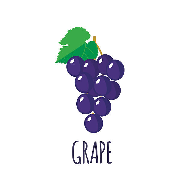 winogrono ikony w płaskie stylu na białym tle - grape nature design berry fruit stock illustrations