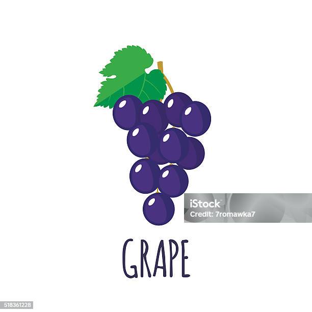 Grape Icon In Flat Style On White Background Stock Illustration - Download Image Now - Grape, Fruit, Illustration
