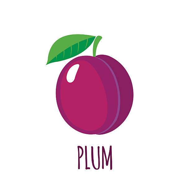 Plum icon in flat style on white background Plum in flat style. Plum vector logo. Plum icon. Isolated object. Natural food. Vector illustration. Plum on white background plum stock illustrations