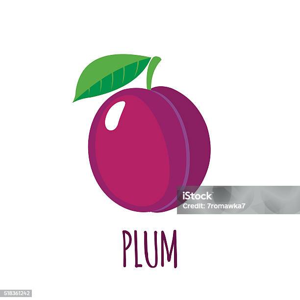 Plum Icon In Flat Style On White Background Stock Illustration - Download Image Now - Plum, Illustration, Vector
