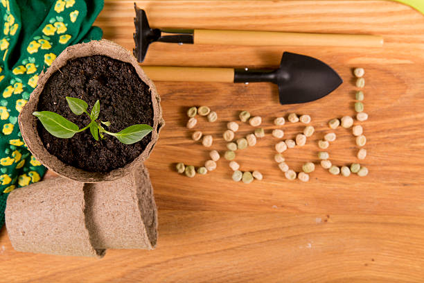 istock inscription seeds from garden tools 518361534
