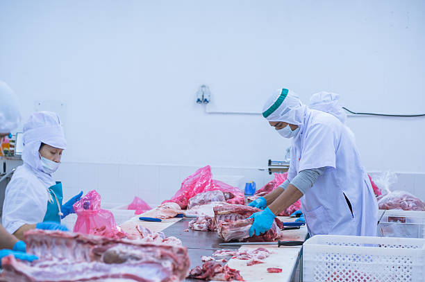 istock cutting meat slaughterhouse workers in the factory 518362002
