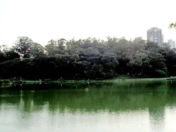 Landscape with lake, trees and buildings in Parque da Aclimação, Aclimação Park, São Paulo city, Brazil.